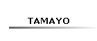 TAMAYO
